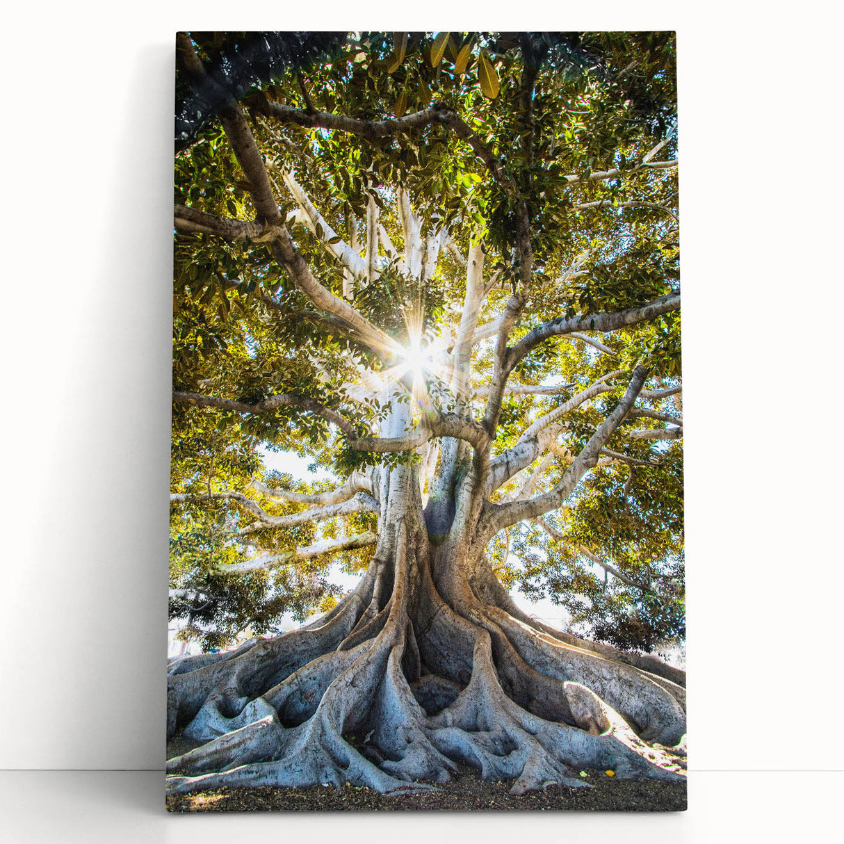 Black and white large canvas depicting the spring season, ideal for kitchen wall art or bedroom ambiance.