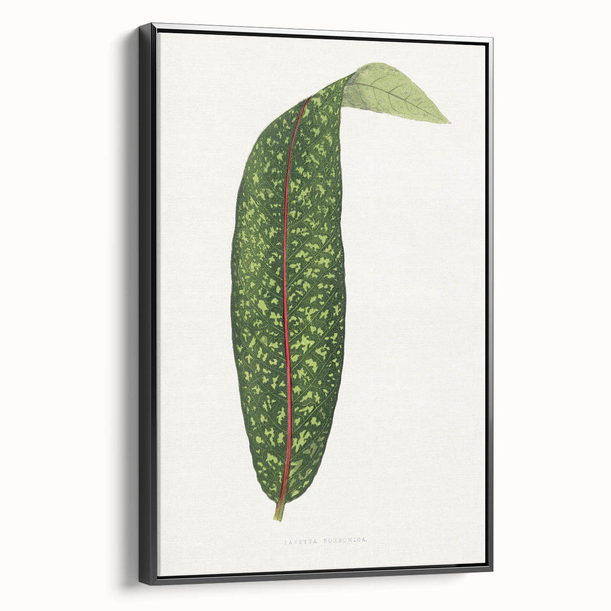 Classic Romantic Paintings - Historical Romanticism Canvas Wall Art