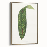 Classic Romantic Paintings - Historical Romanticism Canvas Wall Art