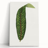 Classic Romantic Paintings - Historical Romanticism Canvas Wall Art