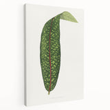 Classic Romantic Paintings - Historical Romanticism Canvas Wall Art