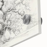 Black & White Tree Sketch Living Room Wall Art - Canvas Prints