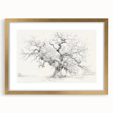 Black & White Tree Sketch Living Room Wall Art - Canvas Prints