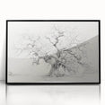 Black & White Tree Sketch Living Room Wall Art - Canvas Prints