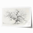 Black & White Tree Sketch Living Room Wall Art - Canvas Prints