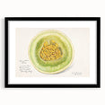 Extra large abstract art print of colorful, textured fruits on a black framed canvas, ideal for living room decor.
