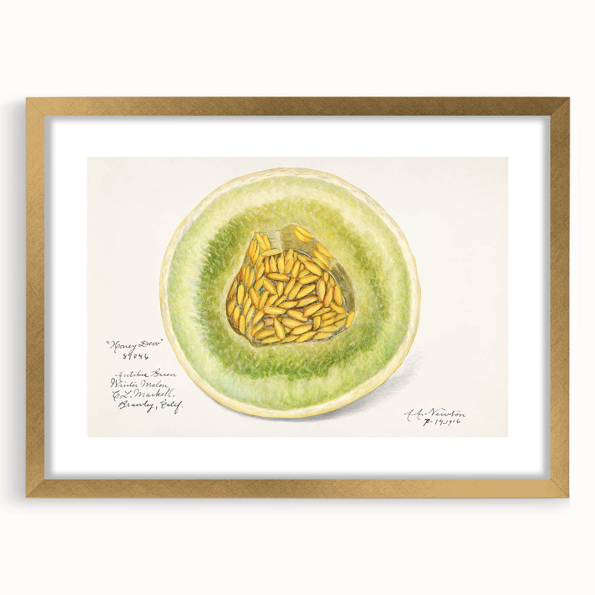 Extra large abstract art print featuring textured fruits in vibrant colors, framed in gold, ideal for living room decor.