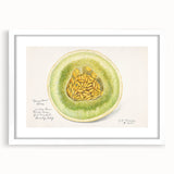 Abstract art print of assorted fruits in vibrant colors on a white framed mat, ideal for dining room decor.