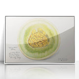 Art deco poster depicting an assortment of fruits in bold colors on a white acrylic framed print.