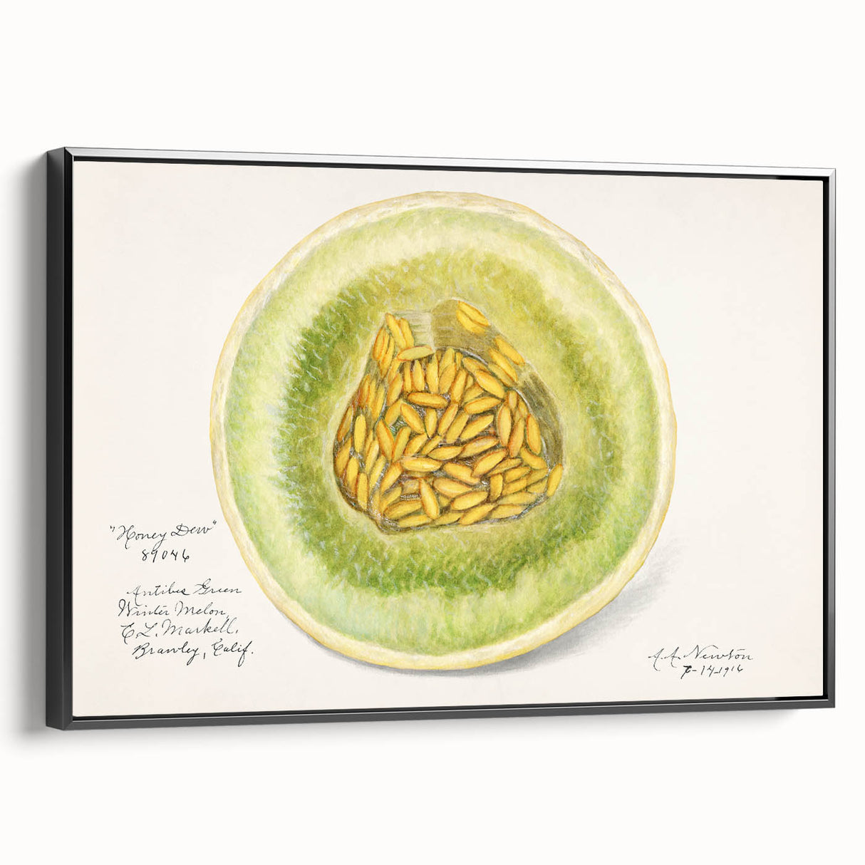 Black and white vintage poster art featuring an assortment of fruits, framed canvas, ideal for bedroom wall decor.