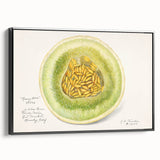 Black and white vintage poster art featuring an assortment of fruits, framed canvas, ideal for bedroom wall decor.