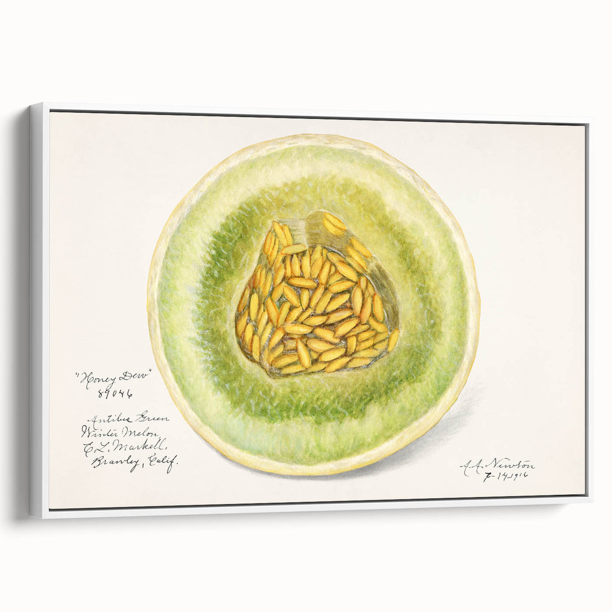 Extra large vintage poster art of colorful fruits on a black background, framed canvas, ideal for living room decor.