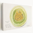 Large stretched canvas featuring an array of colorful fruits, ideal for kitchen wall art.