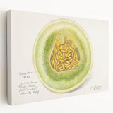 Large stretched canvas featuring an array of colorful fruits, ideal for kitchen wall art.