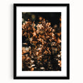 Extra large abstract art print with textured, colorful autumnal hues on a framed black mat, ideal for living room decor.