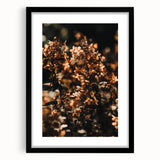 Extra large abstract art print with textured, colorful autumnal hues on a framed black mat, ideal for living room decor.
