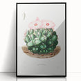 Famous Romantic Era Art - Mammillaria Cactus Romanticism Print