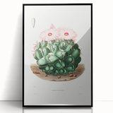 Famous Romantic Era Art - Mammillaria Cactus Romanticism Print