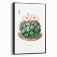 Famous Romantic Era Art - Mammillaria Cactus Romanticism Print