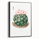 Famous Romantic Era Art - Mammillaria Cactus Romanticism Print