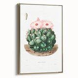 Famous Romantic Era Art - Mammillaria Cactus Romanticism Print
