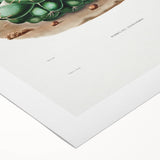 Famous Romantic Era Art - Mammillaria Cactus Romanticism Print