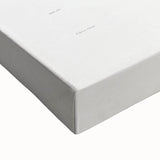 Famous Romantic Era Art - Mammillaria Cactus Romanticism Print