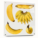 Large abstract wall art featuring assorted fruits in vibrant colors on acrylic glass, ideal for dining room decor.