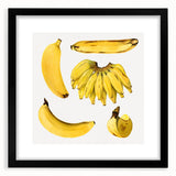 Extra large abstract art print featuring a colorful array of fruits in a black frame, ideal for living room decor.