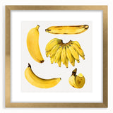 Extra large abstract art print featuring textured fruit designs in vibrant colors on a gold-framed canvas.