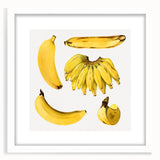 Abstract art print featuring assorted fruits in vibrant colors on a white framed mat, suitable for dining room decor.