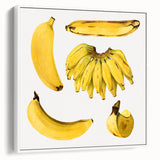 Vintage poster art of colorful fruits on a white framed canvas, ideal for extra large wall art in a living room.