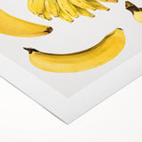 Art deco poster featuring an array of vibrant fruits on a rolled canvas, suitable for dining room wall art.