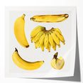 Rolled canvas print of assorted fruits in vibrant colors, ideal for art wall dining room or classy bathroom decor.