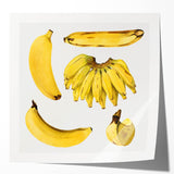 Rolled canvas print of assorted fruits in vibrant colors, ideal for art wall dining room or classy bathroom decor.