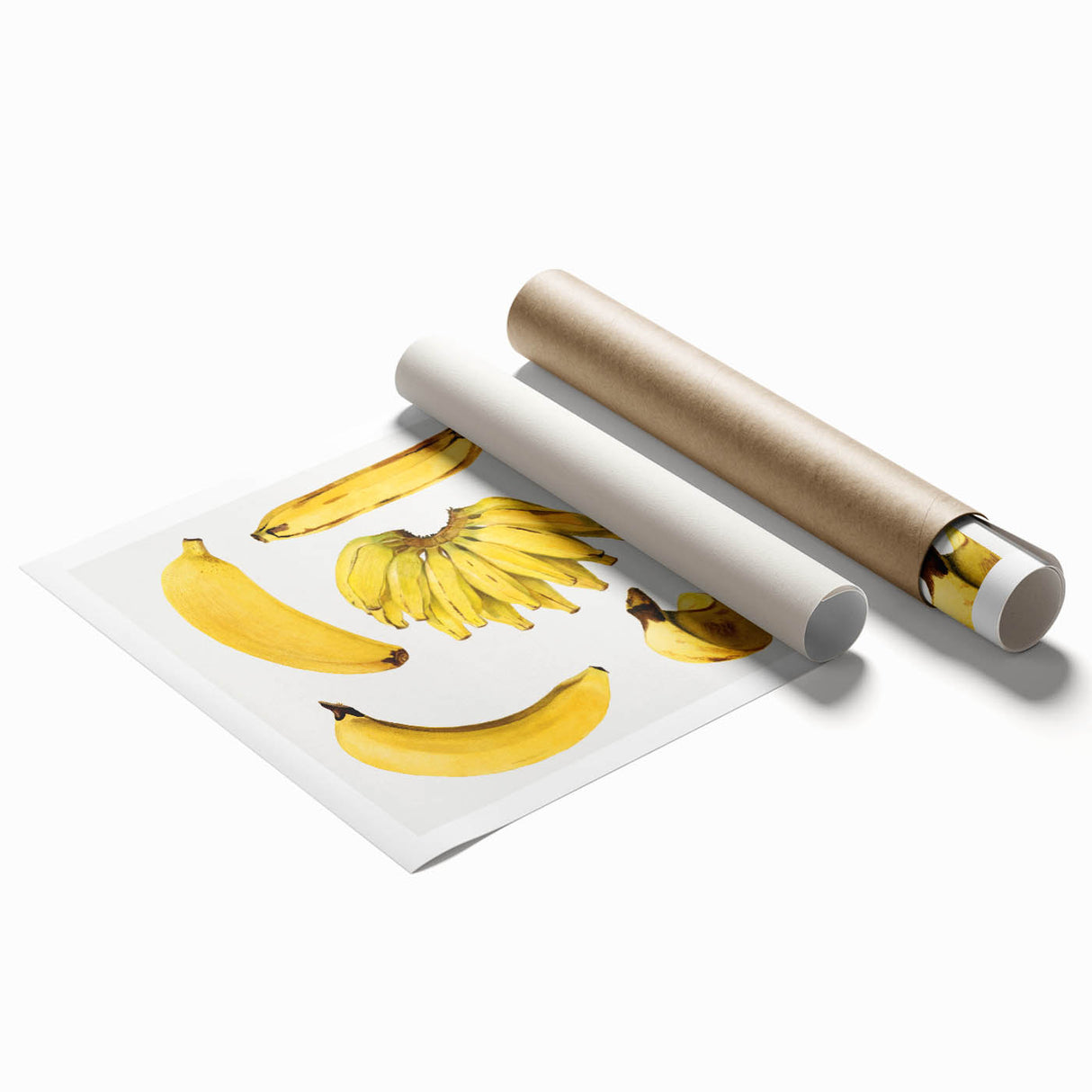 Extra large rolled print featuring an array of vibrant fruits, ideal for classy bathroom or large living room wall art.
