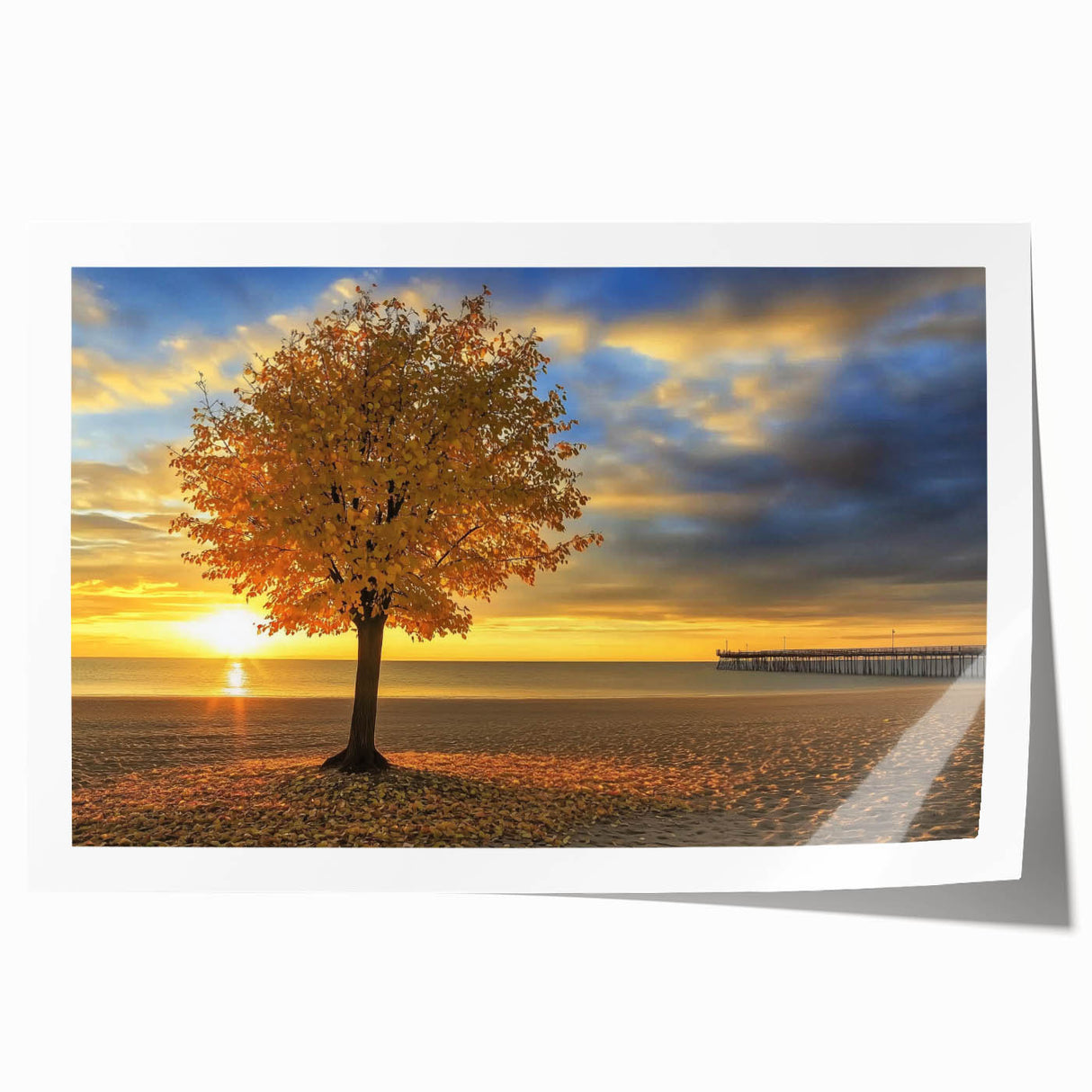 Vibrant landscape print showcasing a serene beach scene with soft waves and golden sand, rolled for easy shipping and display, perfect for coastal decor enthusiasts.