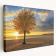 Stretched canvas artwork showcasing a serene beach landscape with vibrant blue skies and gentle waves, perfect for coastal-themed decor or relaxing ambiance.