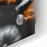 Large abstract wall art depicting autumnal colors in mid-century modernist style on acrylic glass.