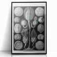 Modern Wall Art - Intricate Black and White Cystoidea Design
