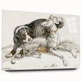 Romanticism Art - Elegant Dog Illustration on Canvas Print