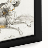 Romanticism Art - Elegant Dog Illustration on Canvas Print