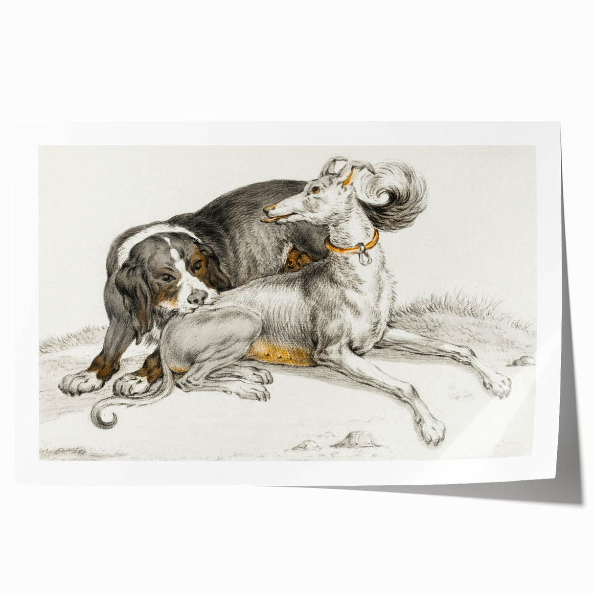 Romanticism Art - Elegant Dog Illustration on Canvas Print