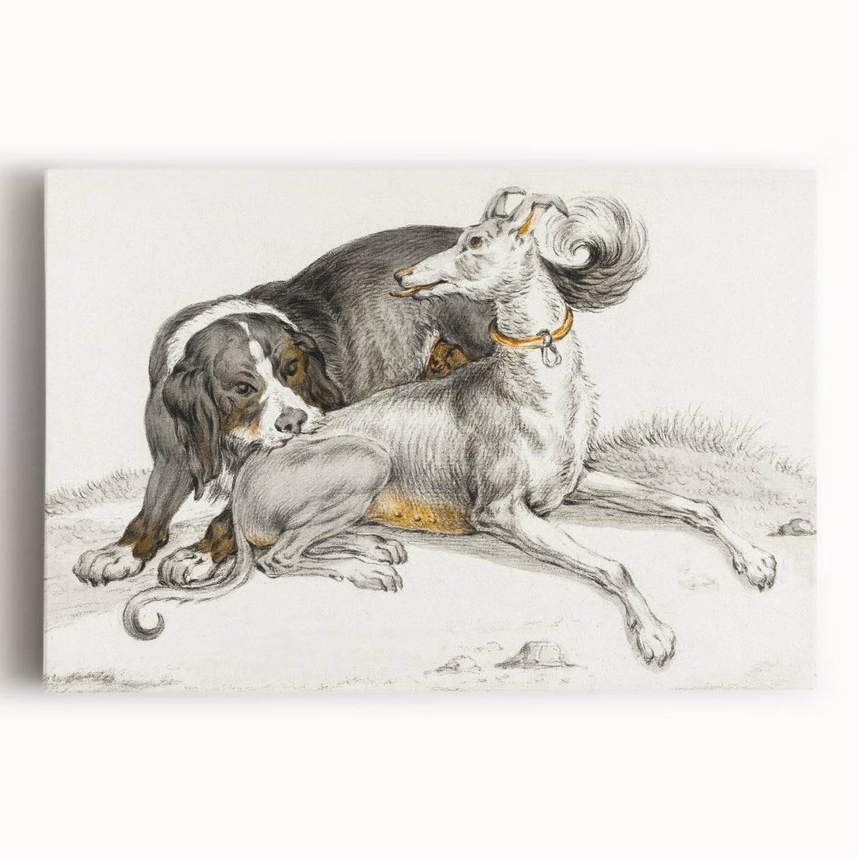 Romanticism Art - Elegant Dog Illustration on Canvas Print