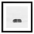 Framed Office Art – Minimalist Black and White Winter Scene