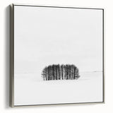 Framed Office Art – Minimalist Black and White Winter Scene