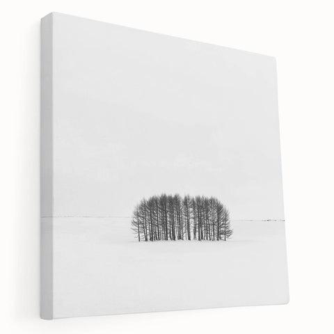 Framed Office Art – Minimalist Black and White Winter Scene