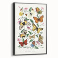 Classic Romantic Paintings - Butterfly & Moth Illustration Wall Art