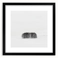 Office Canvas Prints – Minimalist Black and White Winter Scene