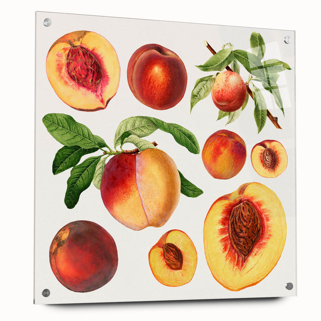 Acrylic print of large abstract wall art featuring vibrant fruit motifs, ideal for dining room decor.